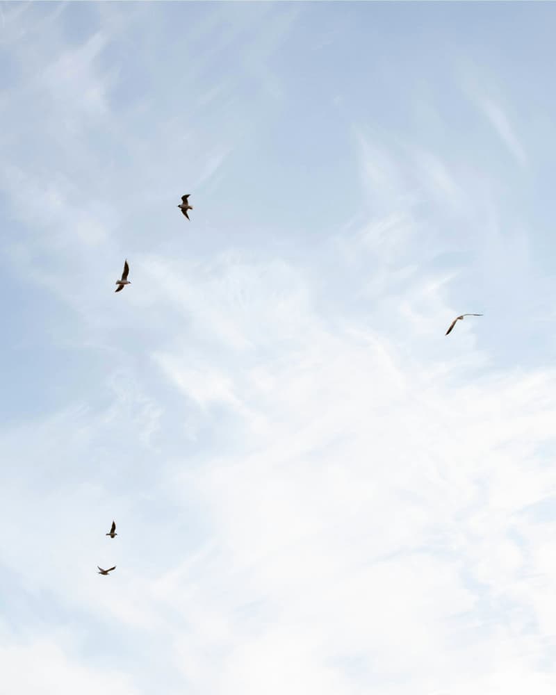 Parcours court L'Envol pour traverser une fin de cycle ou une reconversion en six semaines.